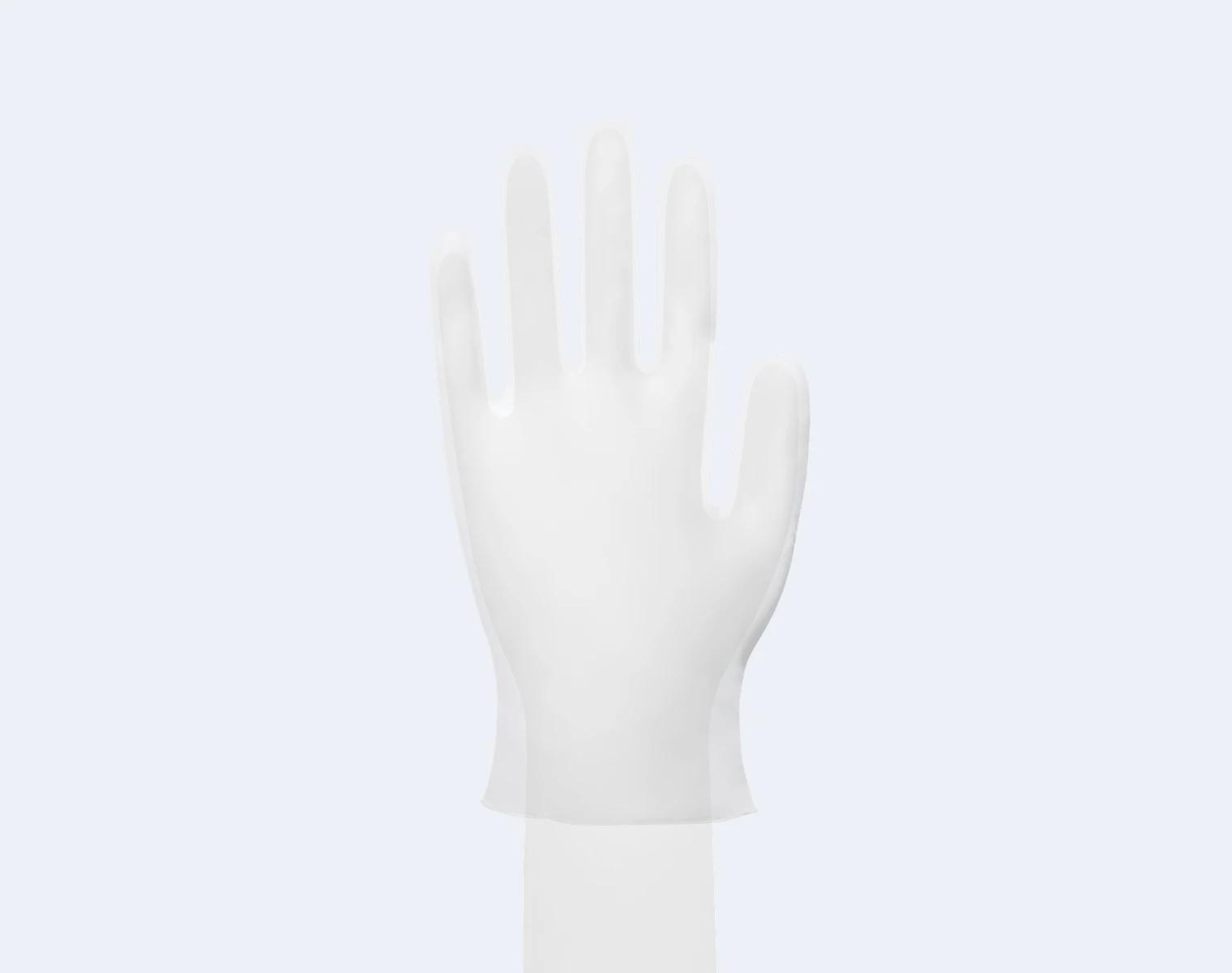 Disposable Vinyl Gloves Product Display