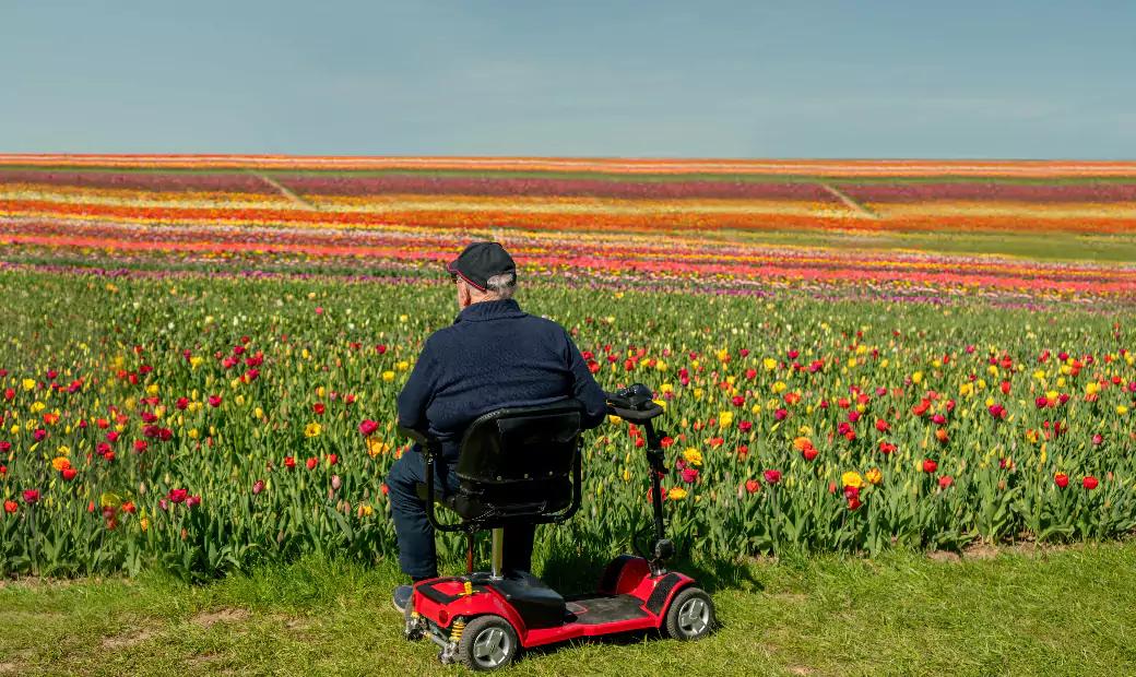Elektroroller im Blumenfeld