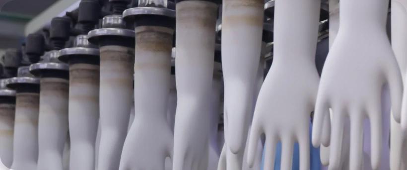 Capacidad anual de guantes