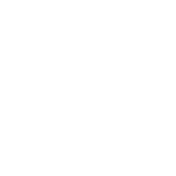 white logo of Sanity