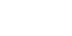 white logo of Mediafin