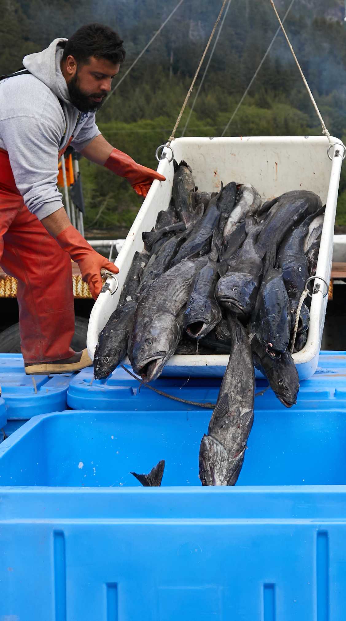 fishermen