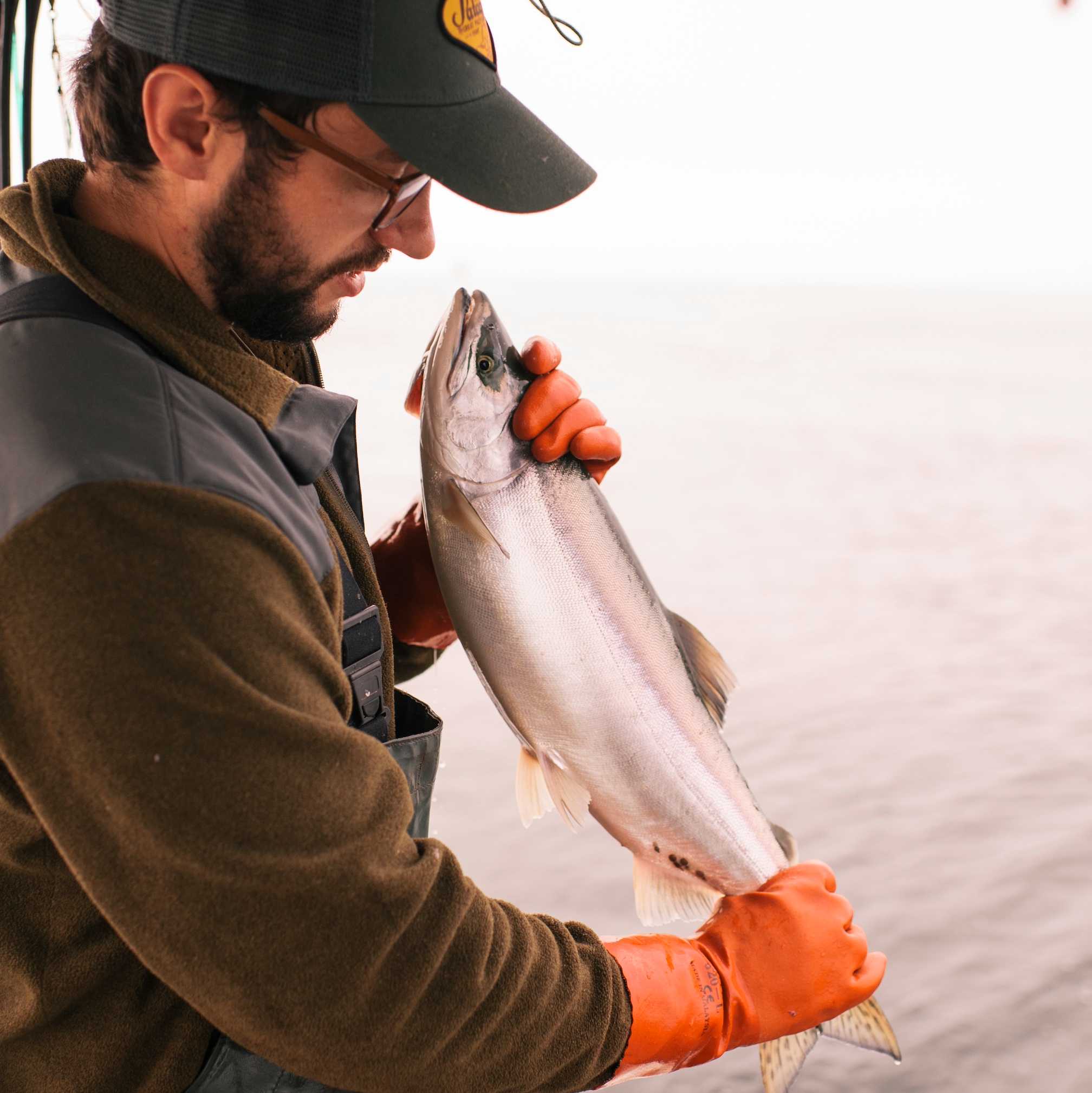The Catch – Featured Sourcing Article – Envisioning a Better Seafood – Full Bleed Hero
