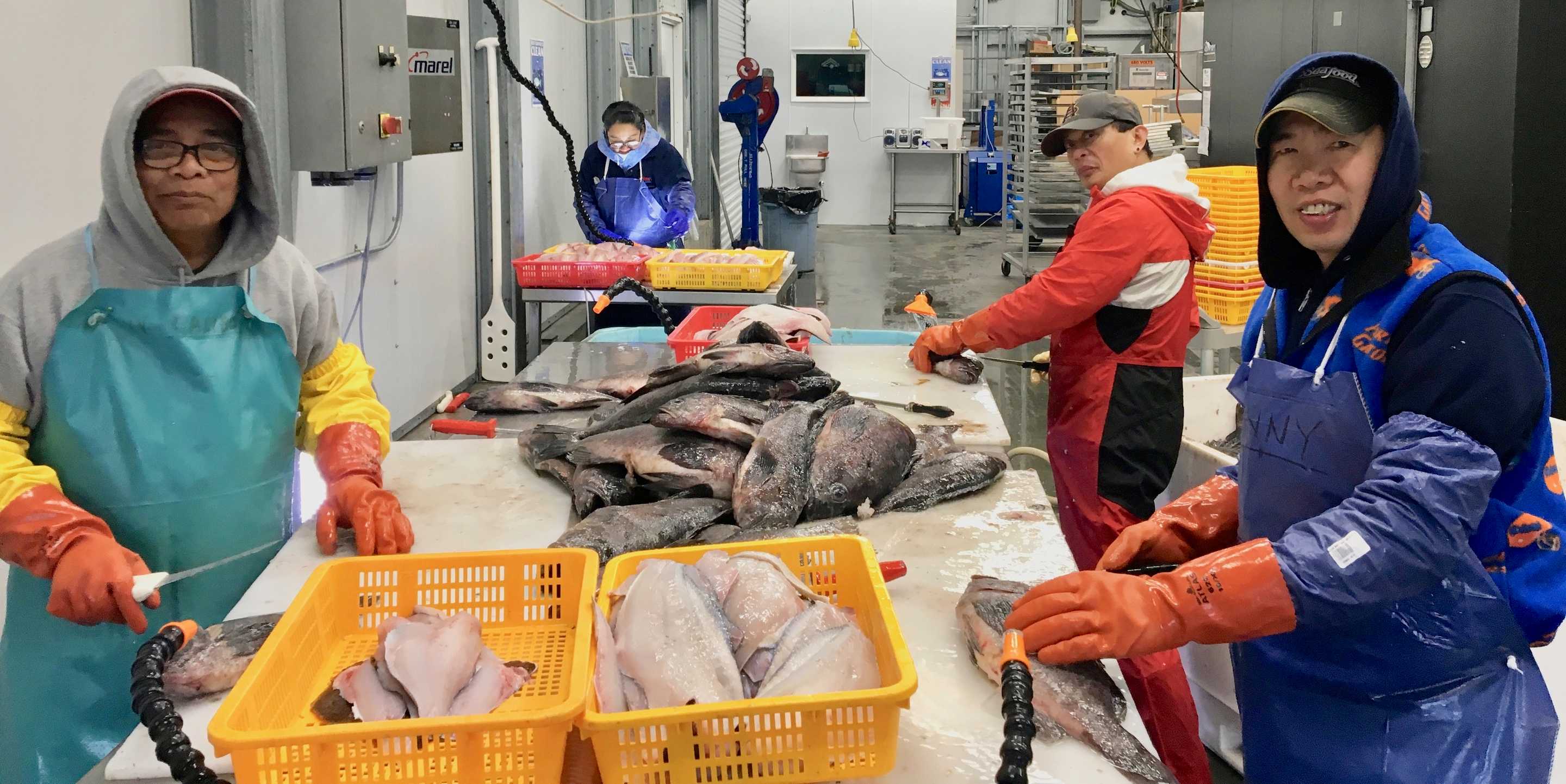 The Catch – Featured Sourcing Article – Asian Heritage Month – Full Bleed Hero