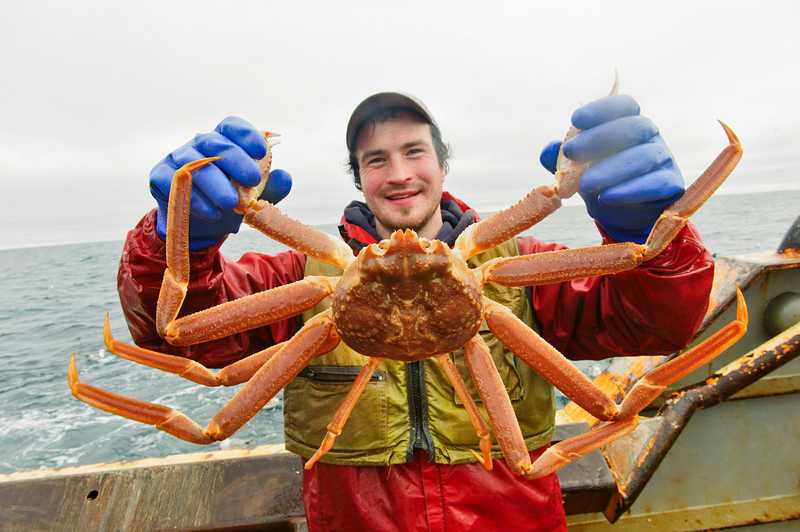 fisherman on a boat holding a crab