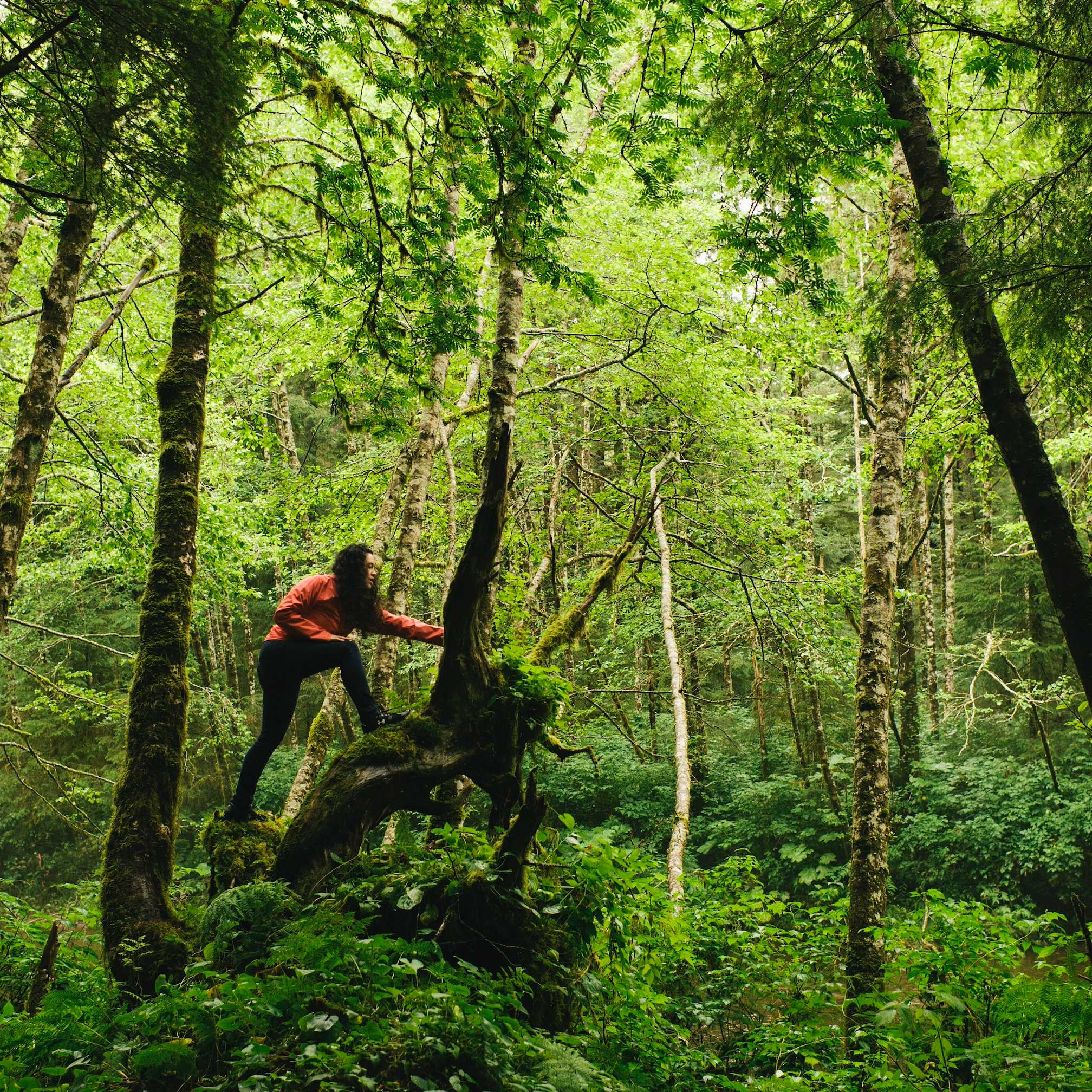 The Catch – Featured Sourcing Article – Tongass – Full Bleed Hero