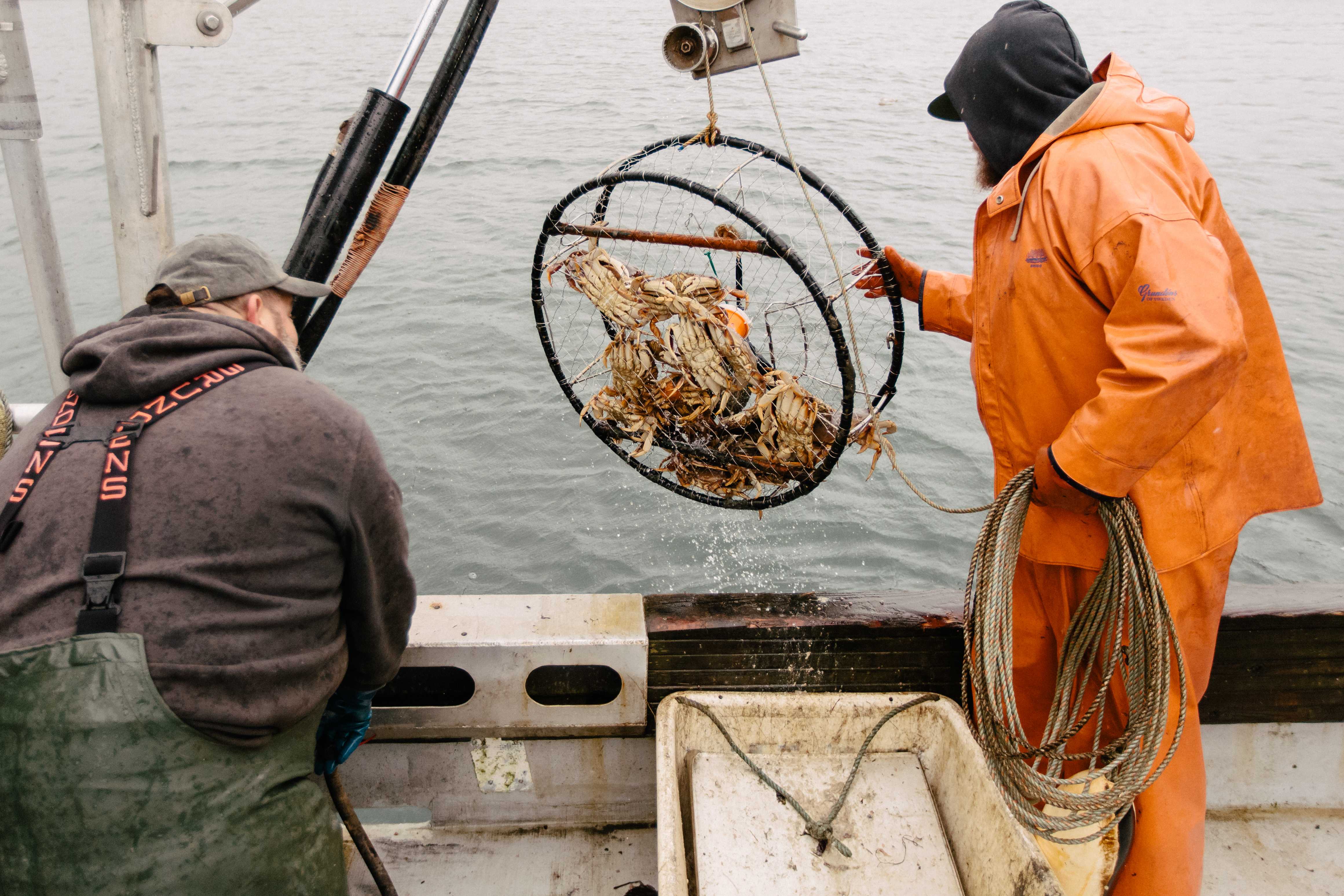 The Catch – Longlines, Pots & Precision – Full Bleed Hero