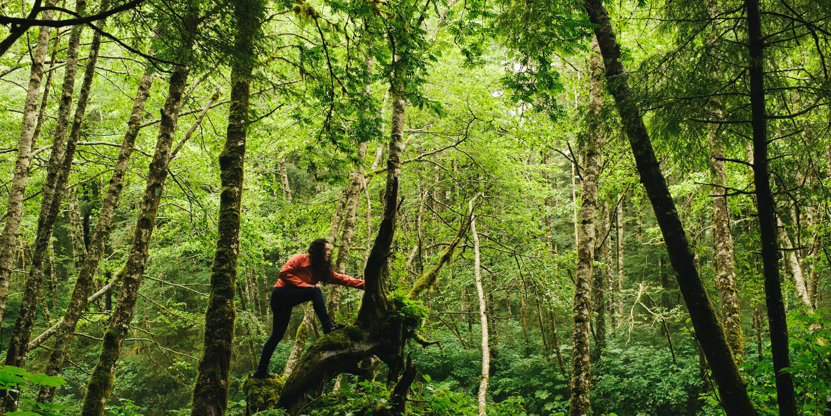 The Catch – Featured Sourcing Article – Tongass – Full Bleed Hero