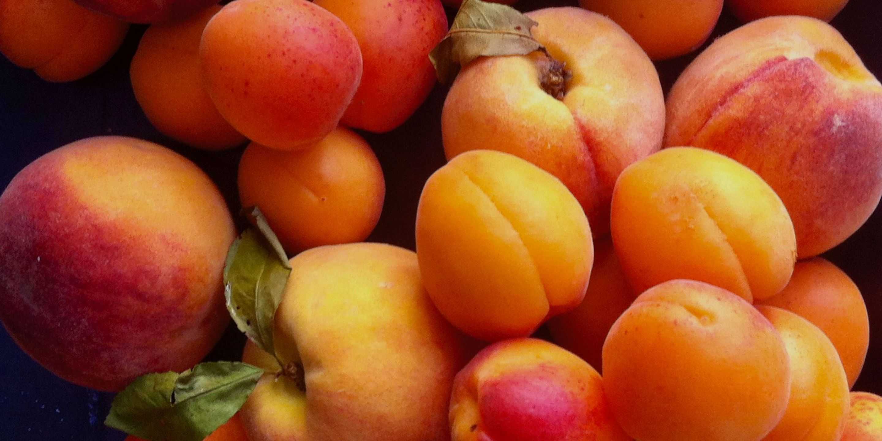peaches