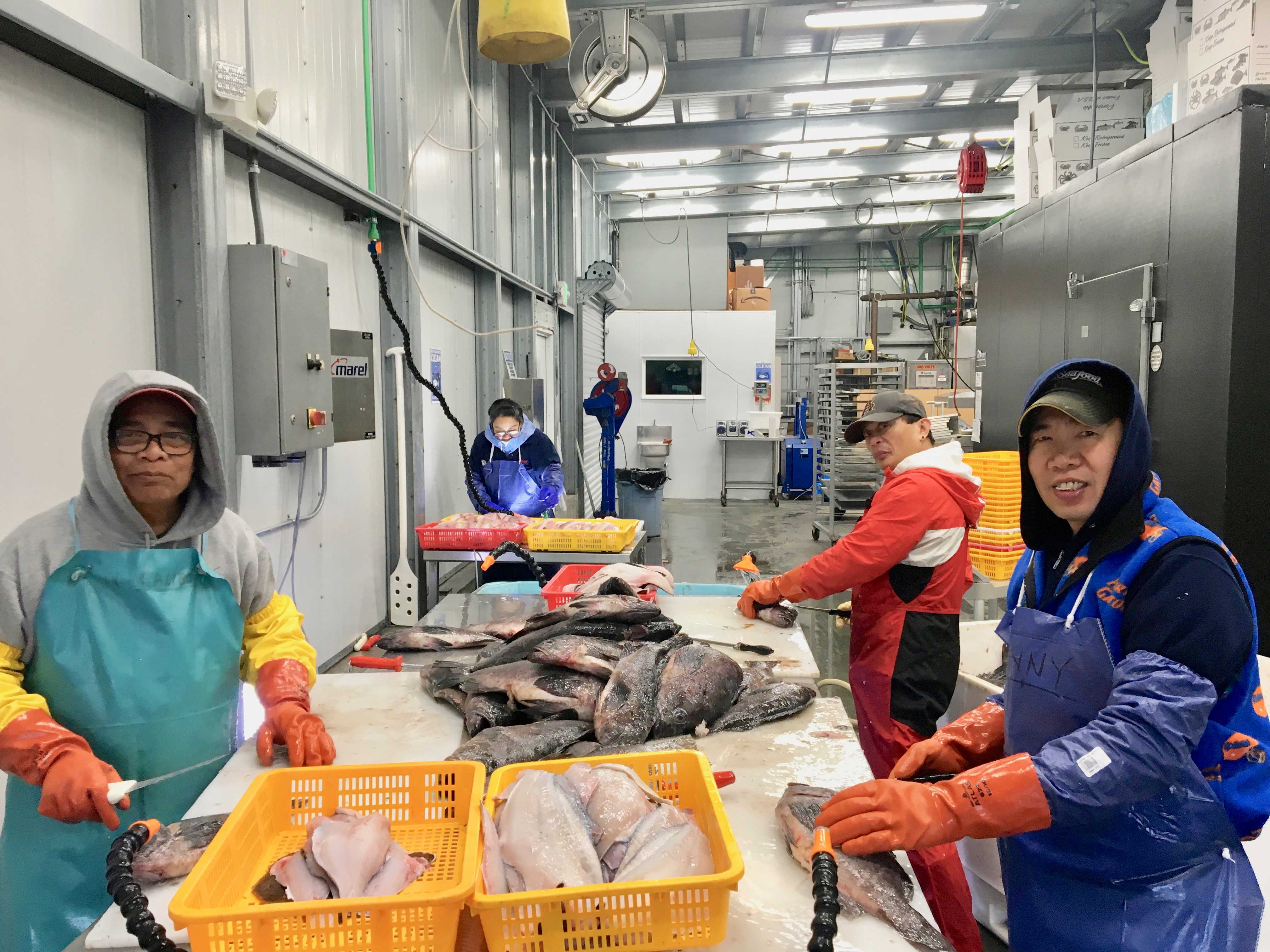 The Catch – Featured Sourcing Article – Asian Heritage Month – Full Bleed Hero