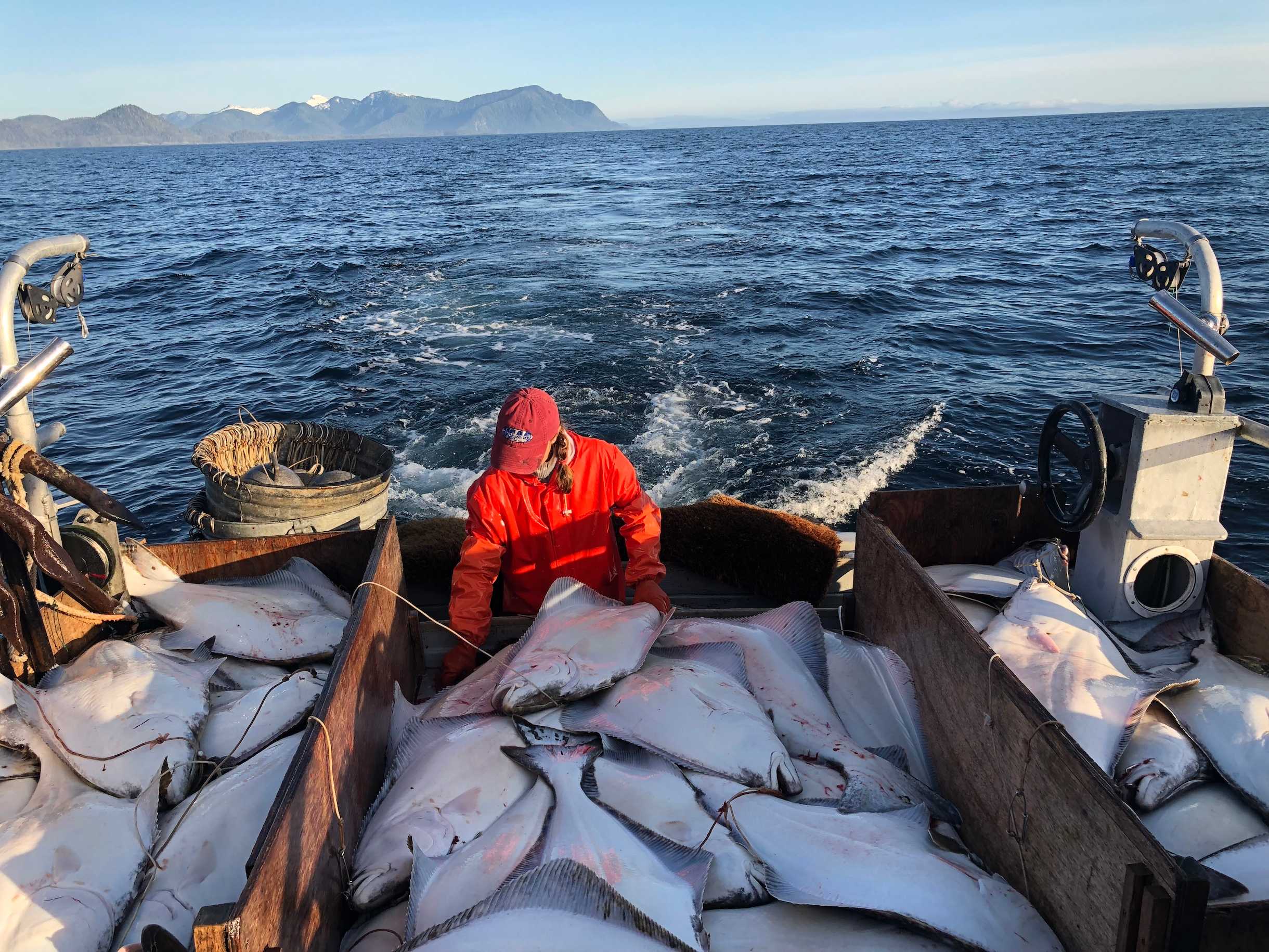 fisherman on a boat holding a halibut