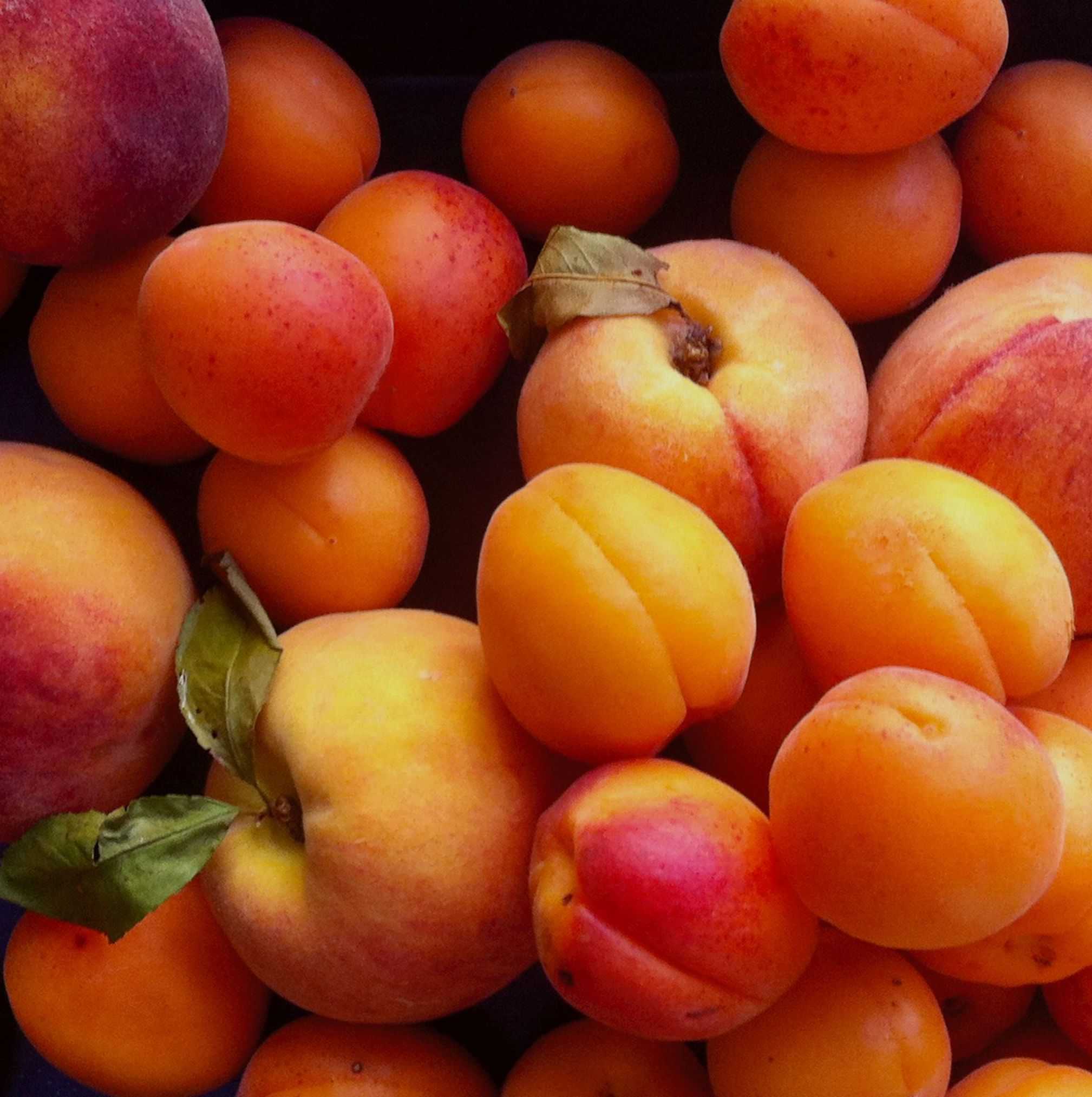 peaches