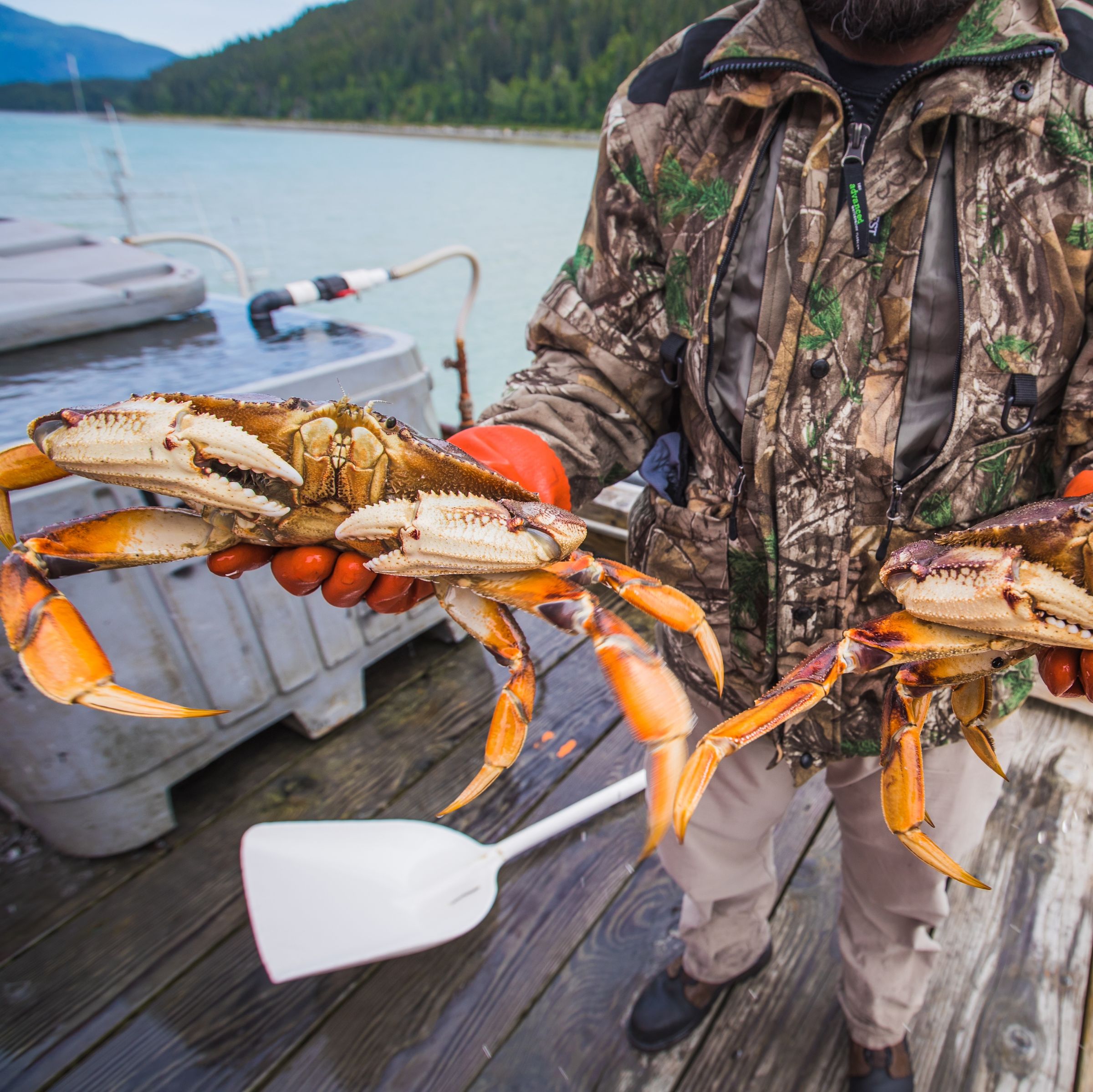 a man is holding two crabs on a dock.