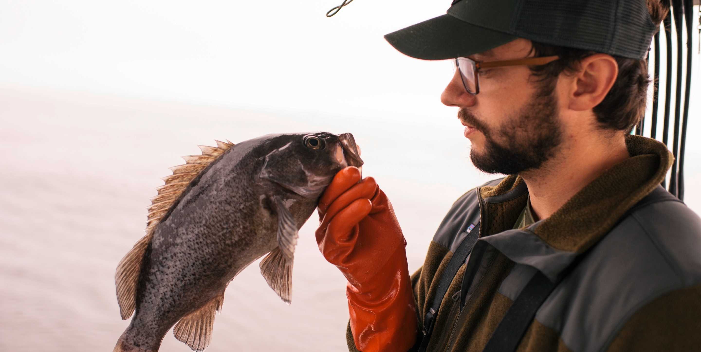 The Catch – Featured Sourcing Article – Envisioning a Better Seafood – Full Bleed Hero