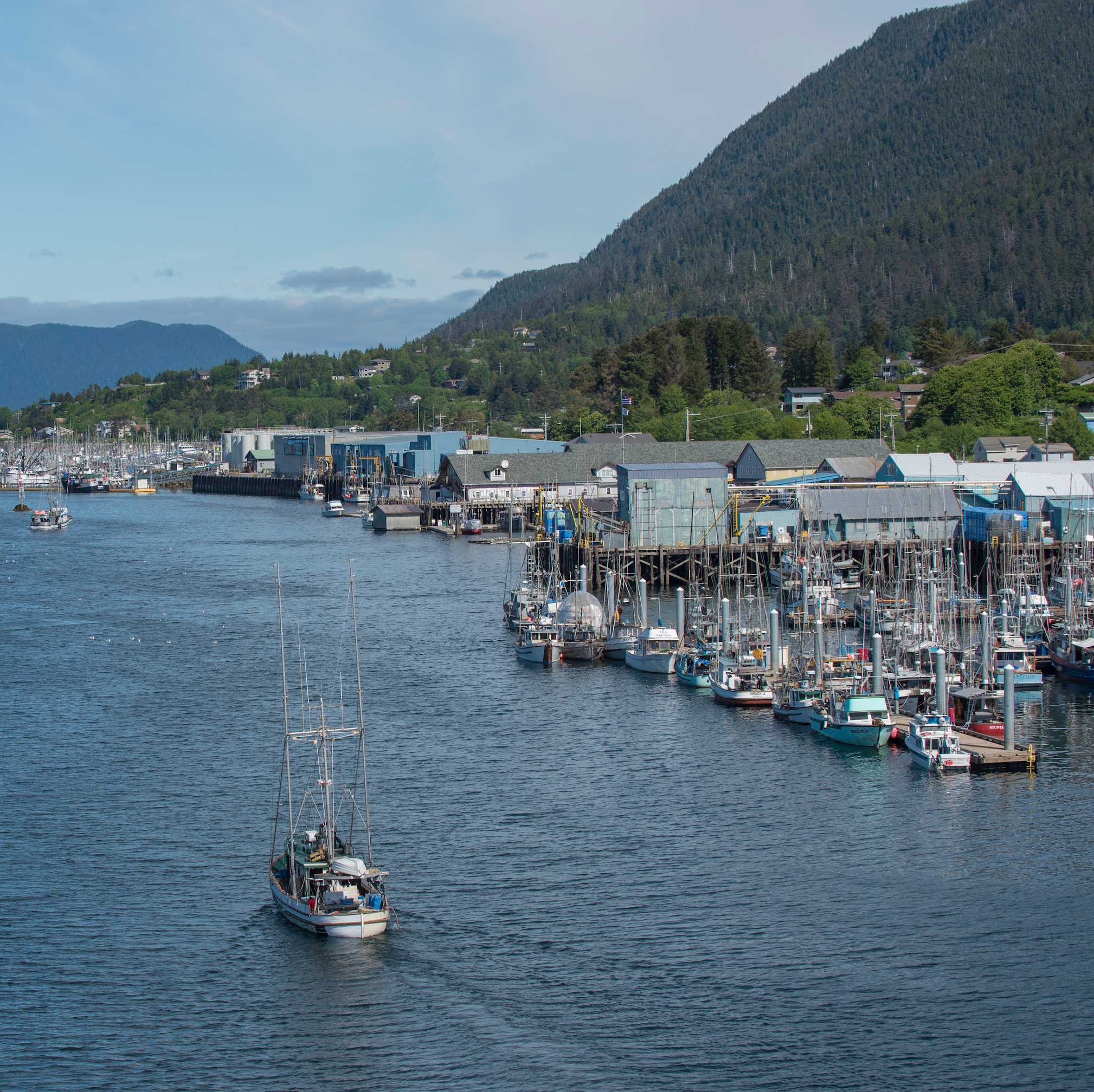 Photo courtesy of Alaska Seafood
