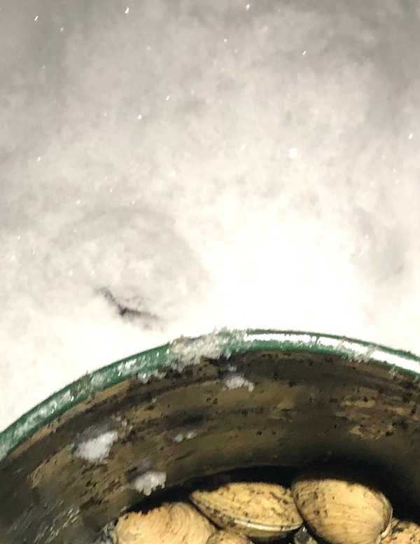 Secondary Sourcing Article – Winter Foraging – Full Bleed Hero