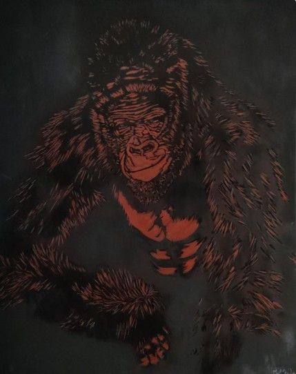 Le re-gard au gorille