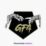 Gifted fight academy