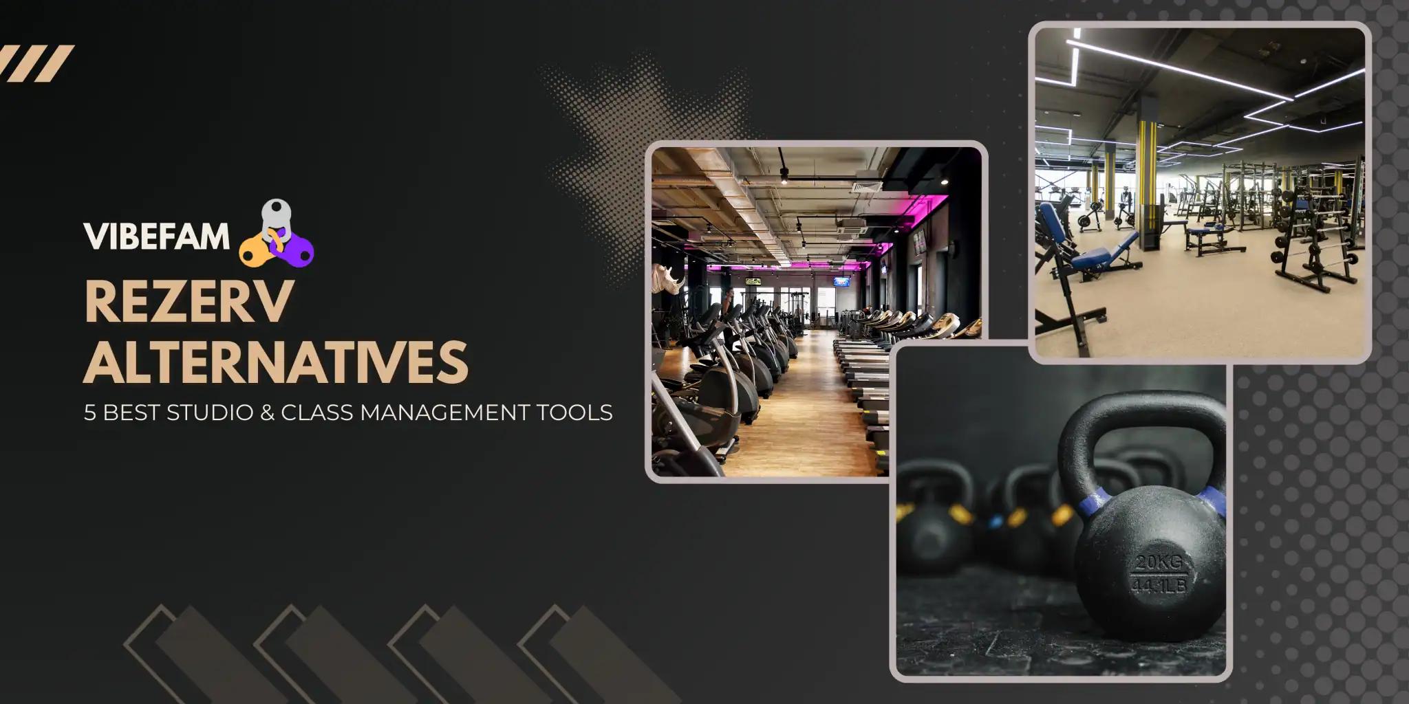 Vibefam-Article-Banners-2-2048&#215;1024