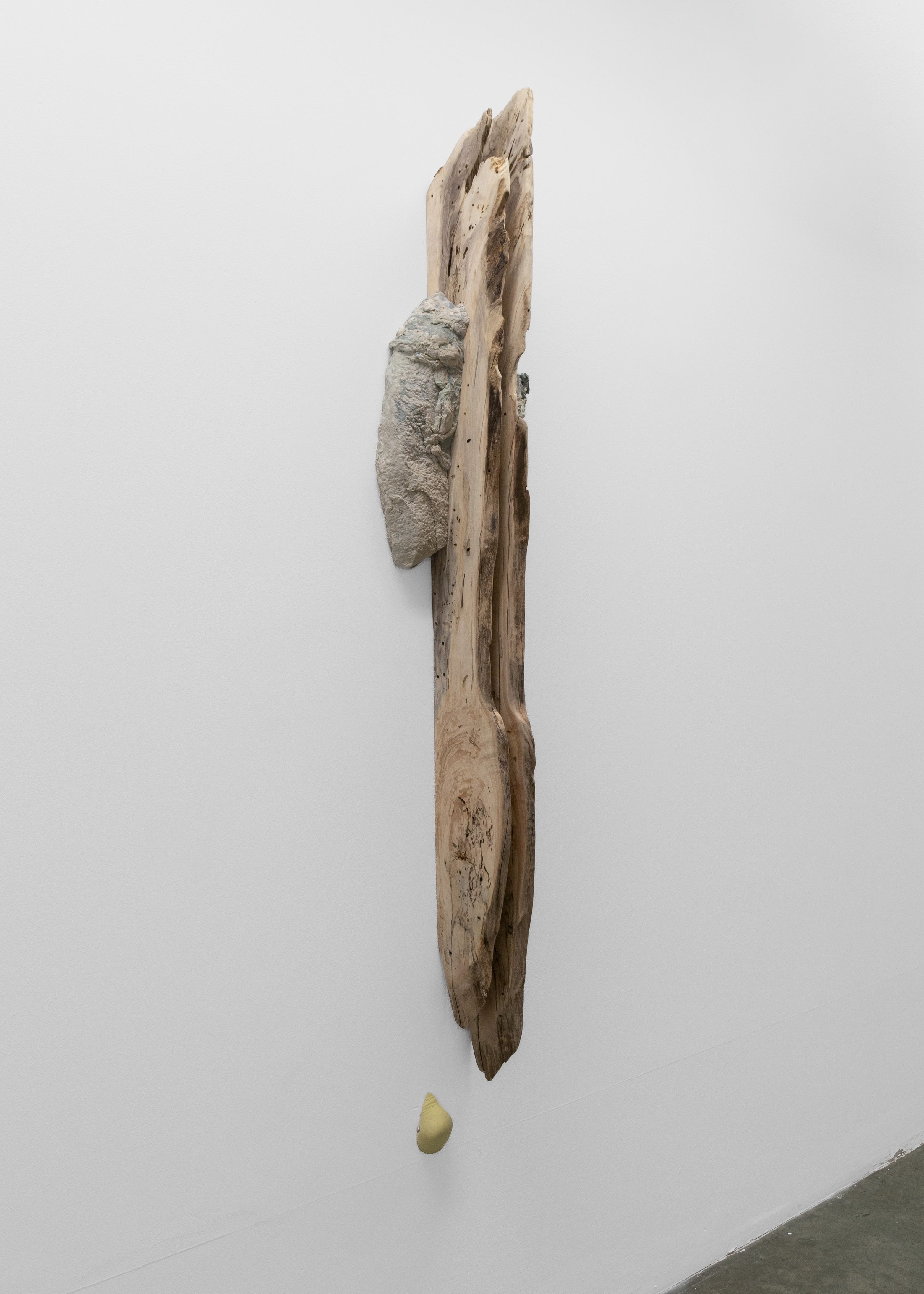 Artwork: Beef Twice Sectioned and Heel