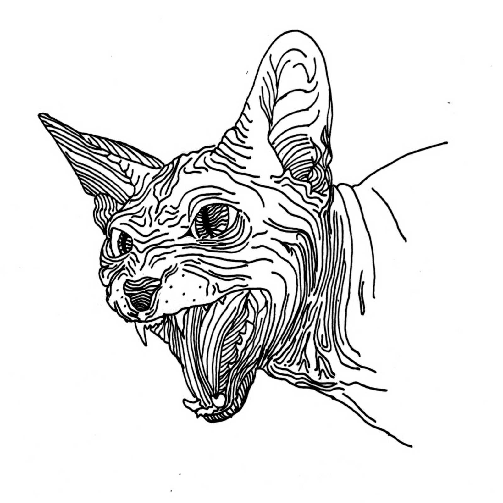 Footprint (A Makeshift Legend)