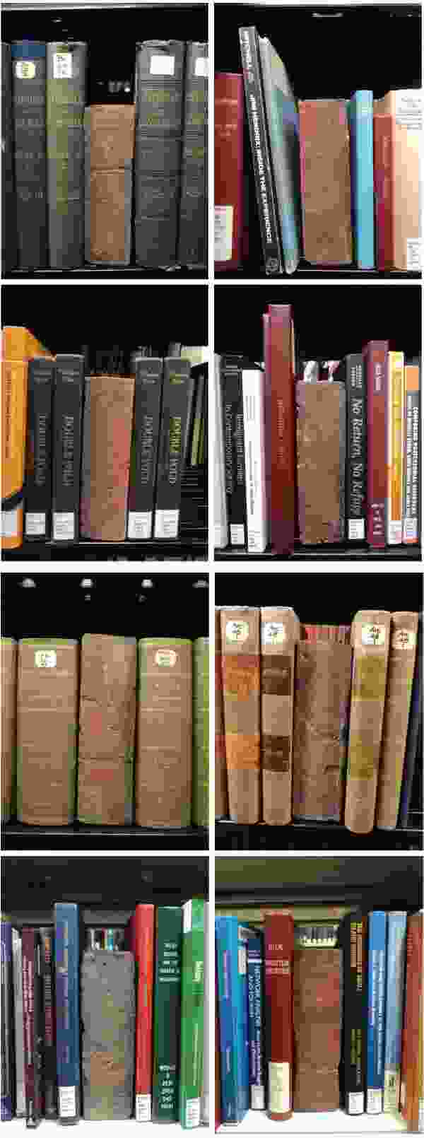 Eight Bricks in Widener Library