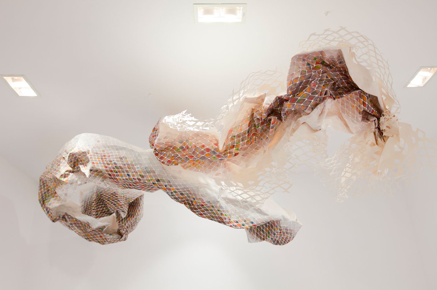 Artwork: Mugunghwa (the one that got away)