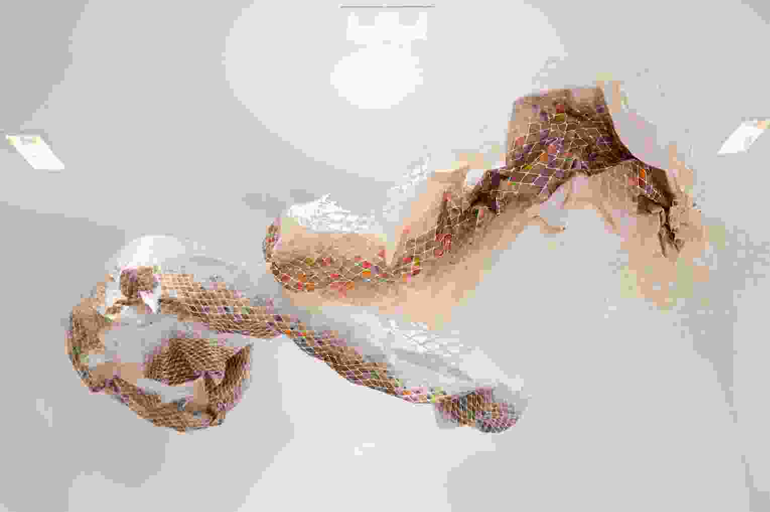 Mugunghwa (the one that got away)