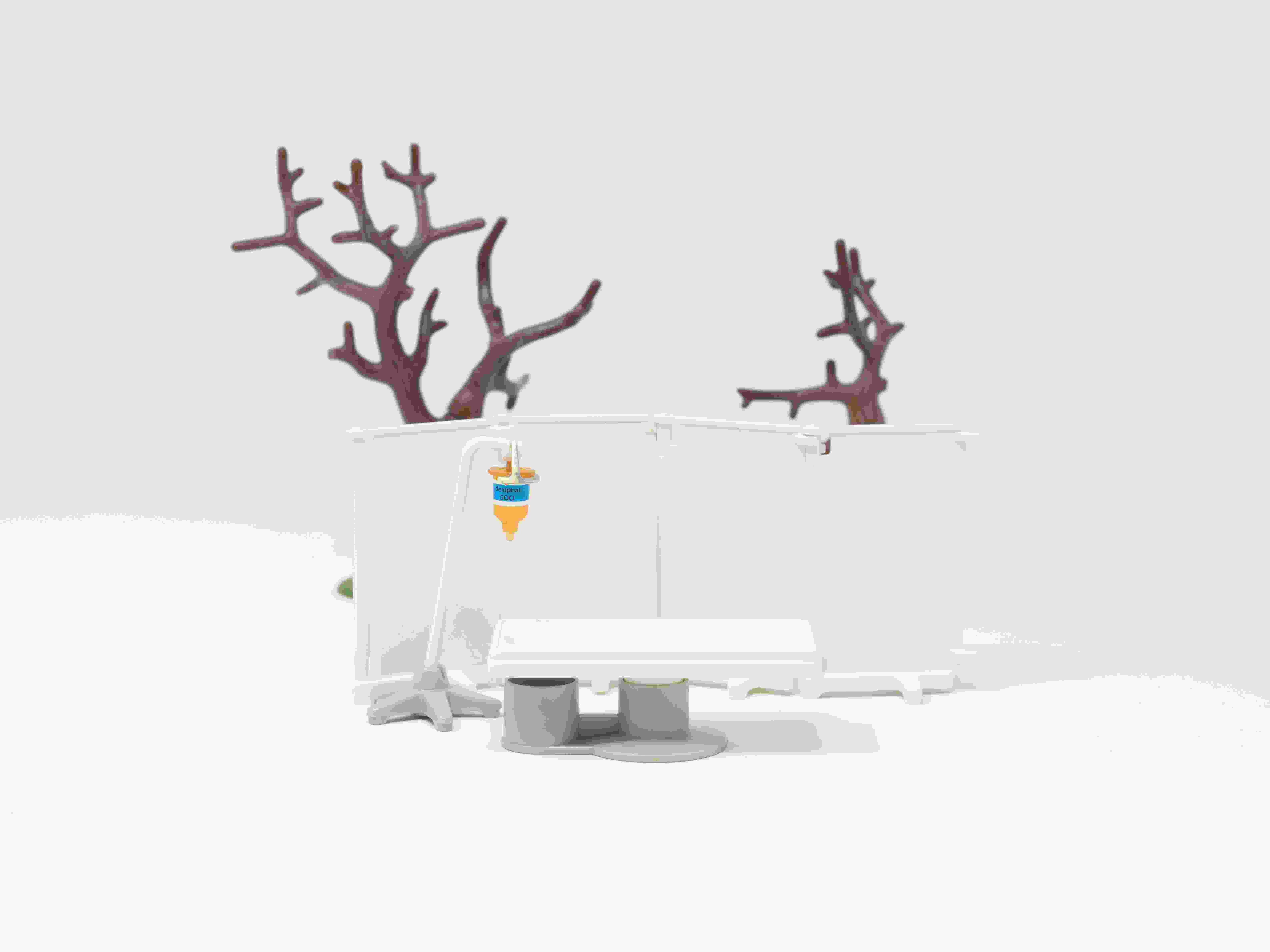 Lear Through the Wind