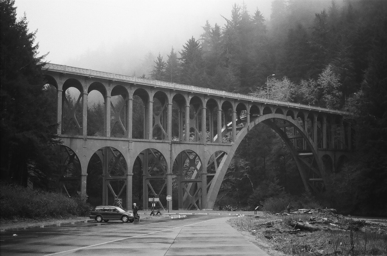 Artwork: Cape Creek Bridge