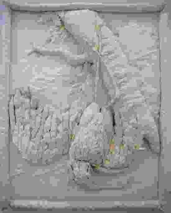 Drawing the Line in Mississippi, 2011