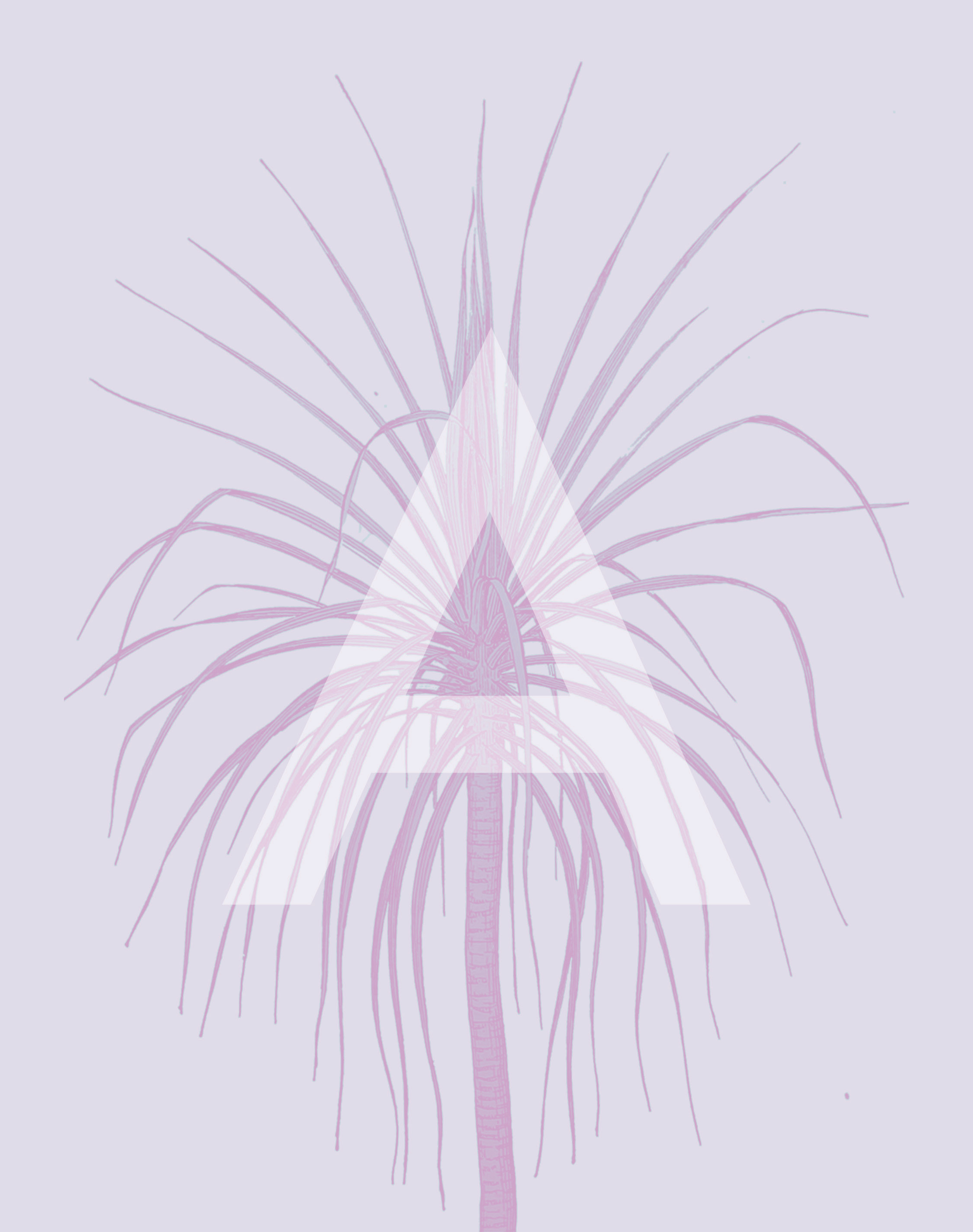 Cover of Spring 2017 Issue