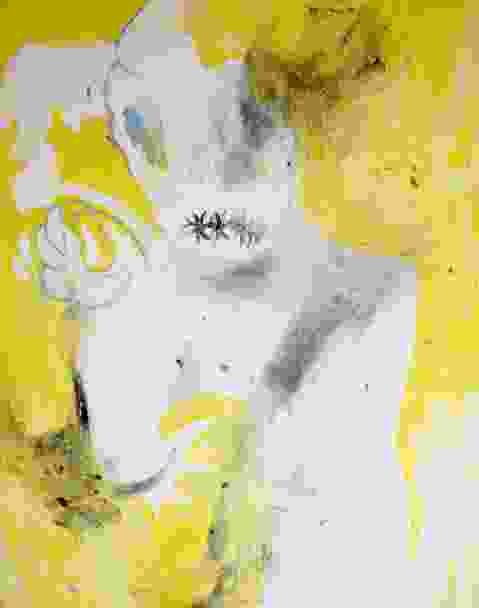 Degradation and Cold Sores and Bed Sores and a Dead Dog