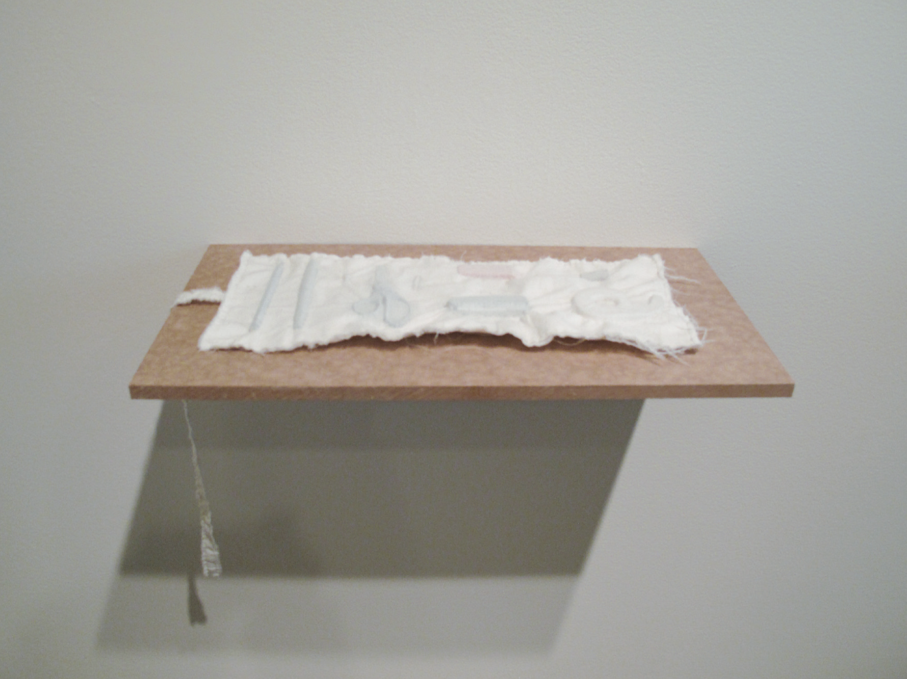 Artwork: STANDARD OPERATING PROCEDURE (Toolkits, 2009)