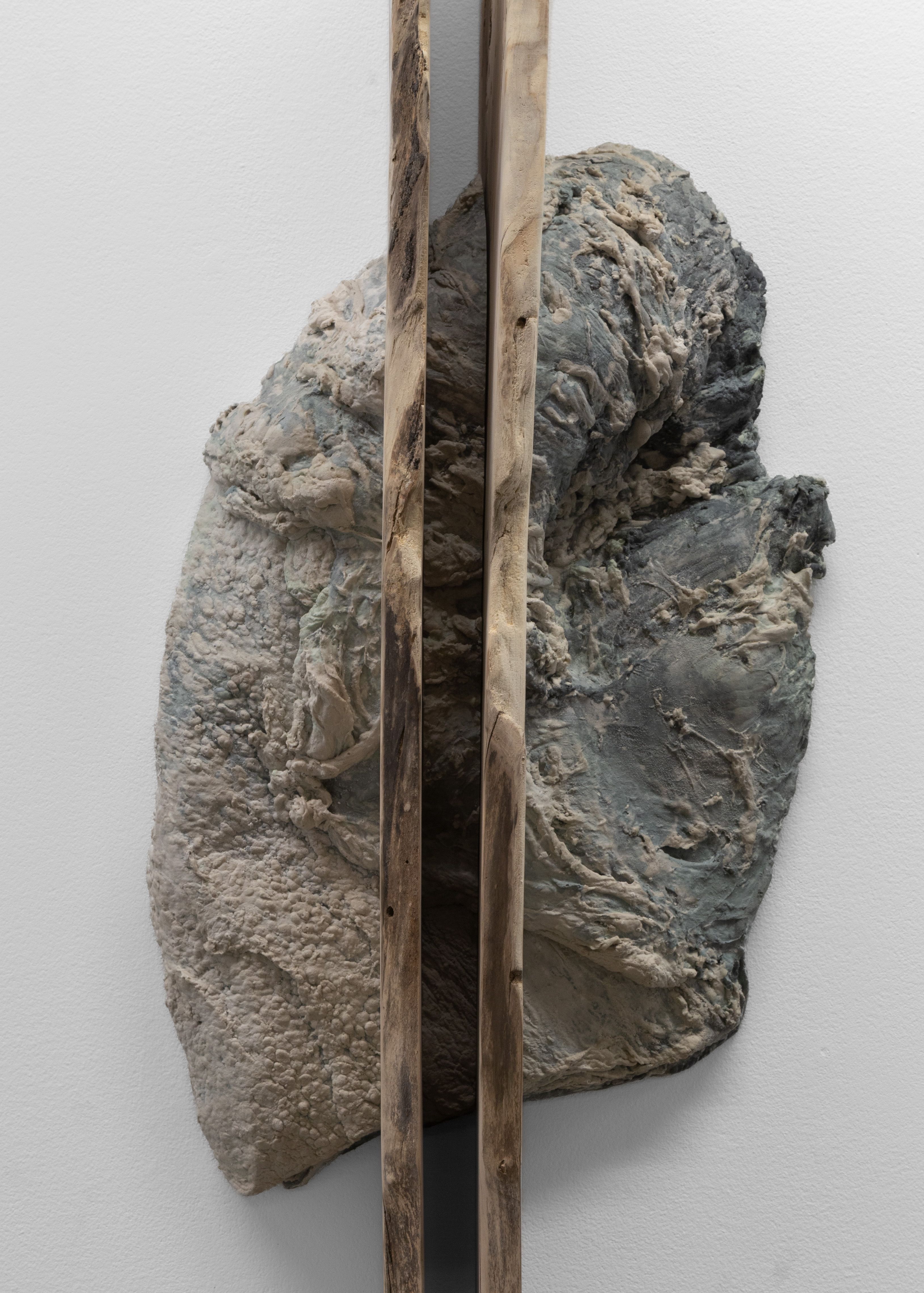 Artwork: Beef Twice Sectioned and Heel