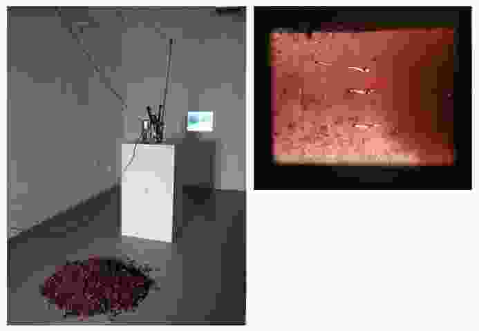 Arthur, 3' x 10' (2010)