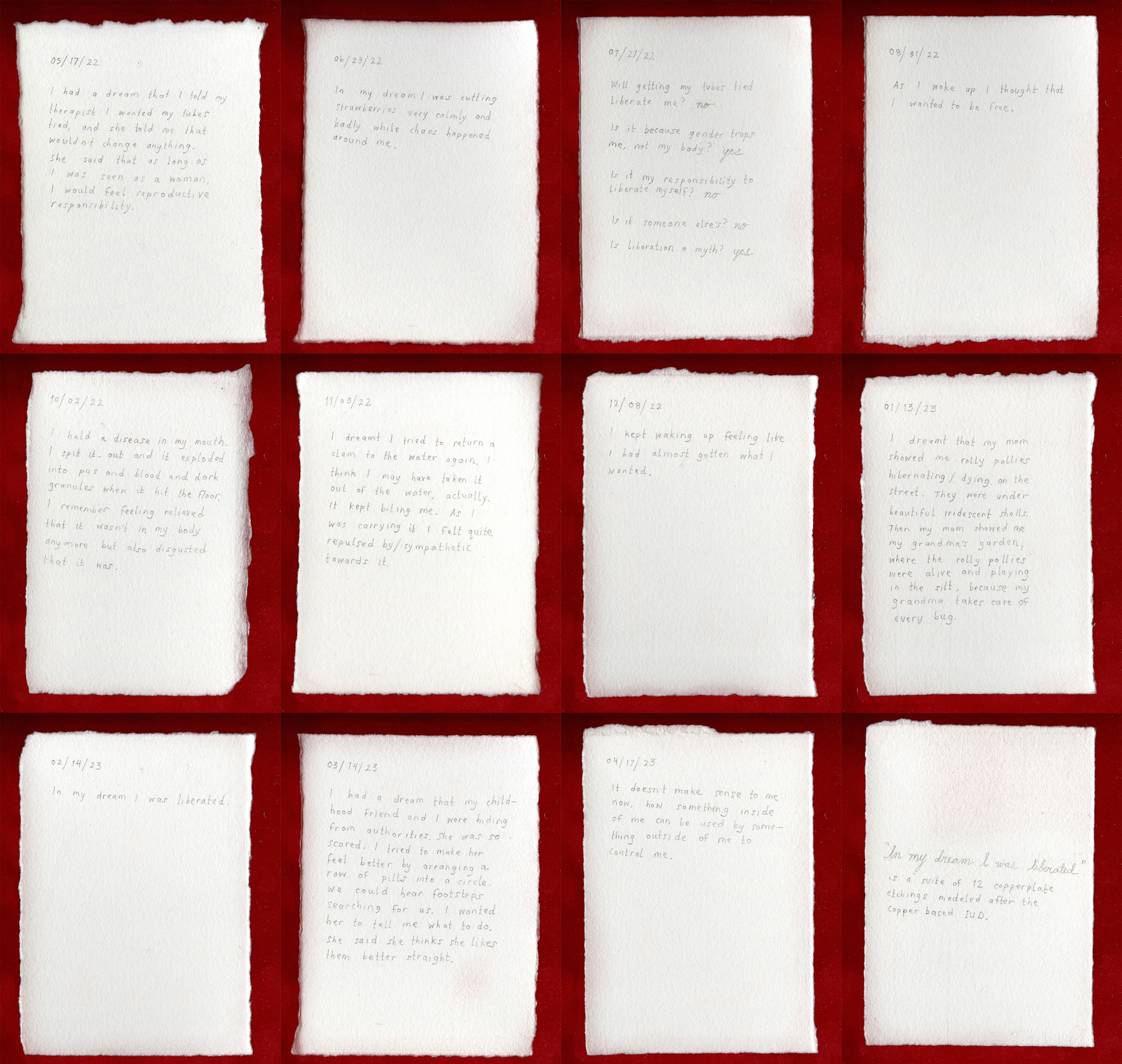 Artwork: In my dream I was liberated