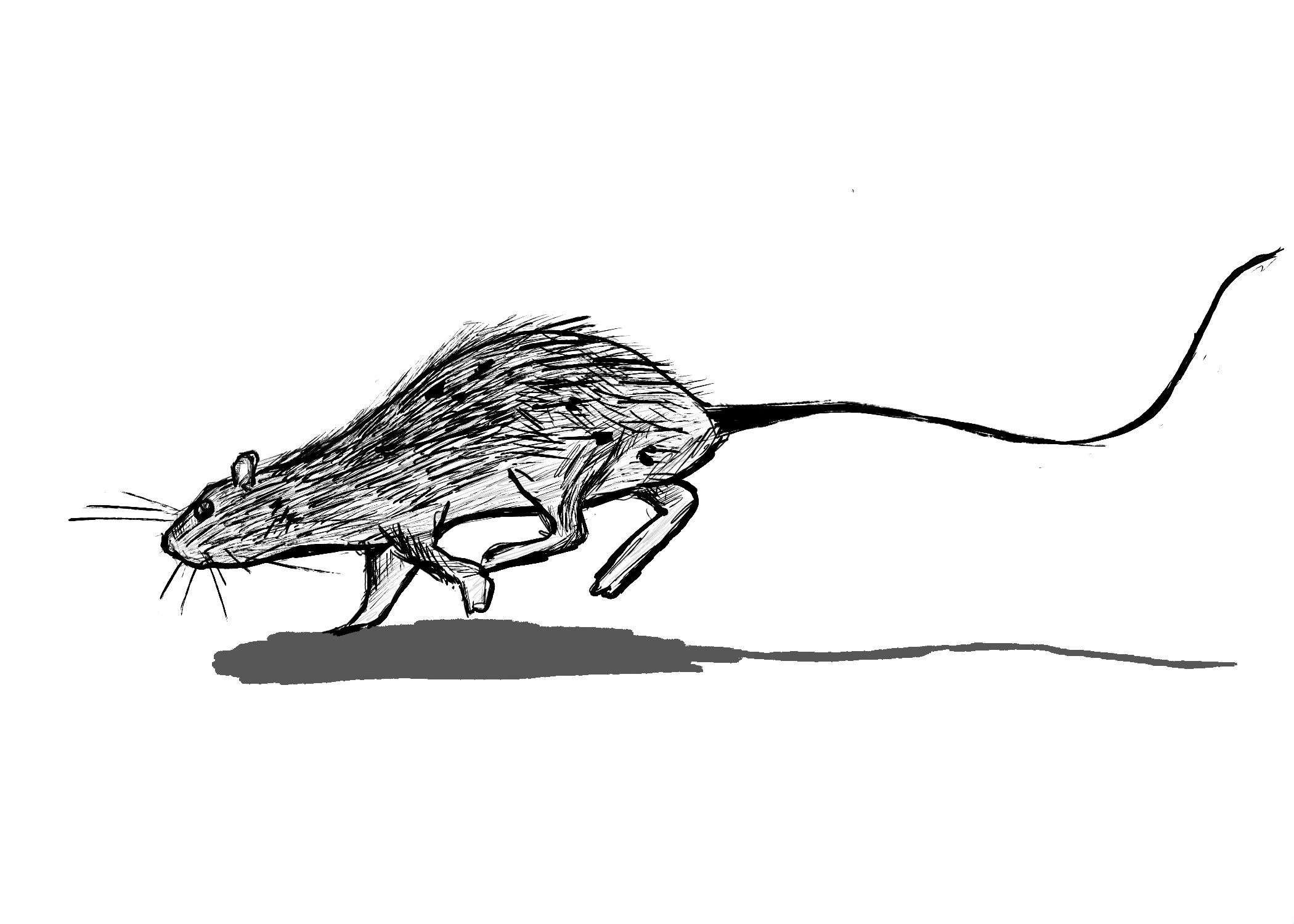 WHEN SHE TRIES TO BE DEEP BY ASKING ME “WHAT MAKES A COUNTRY A COUNTRY?”