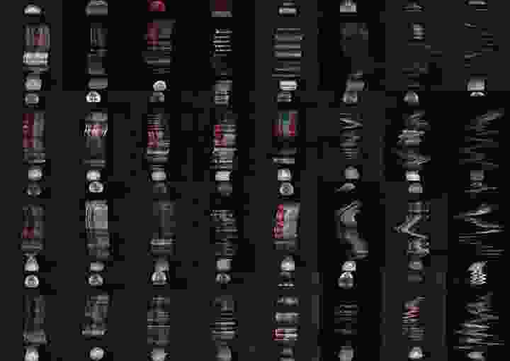 The Beginning of a Career