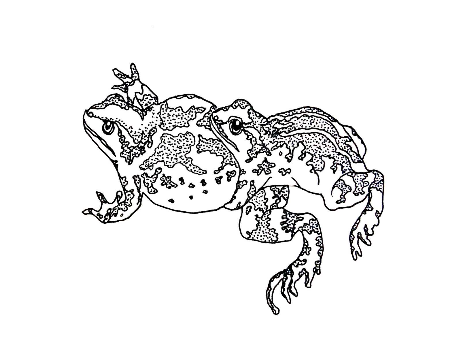 The Importance of Knees as a Bracing Thing