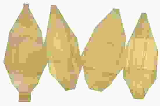 Osage Sculture 4 Layout (1 of 7)