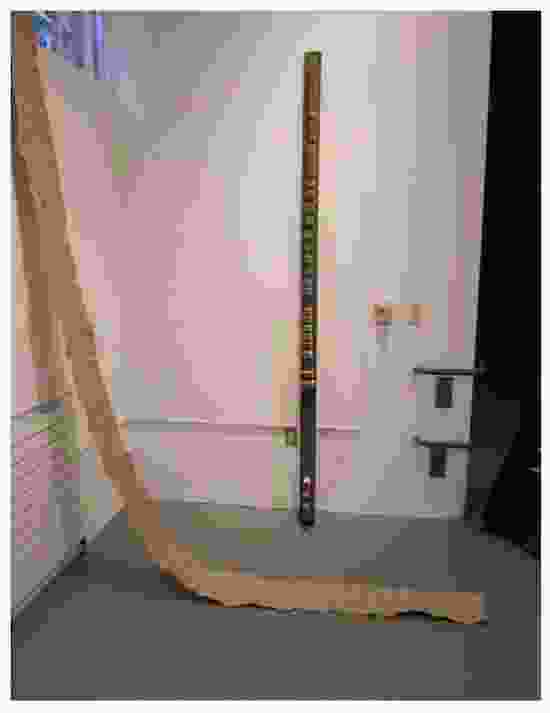 Tall (Stack) / No emotion is the final one