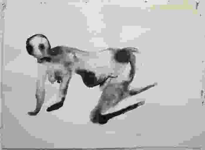 Pregnant Women on All Fours