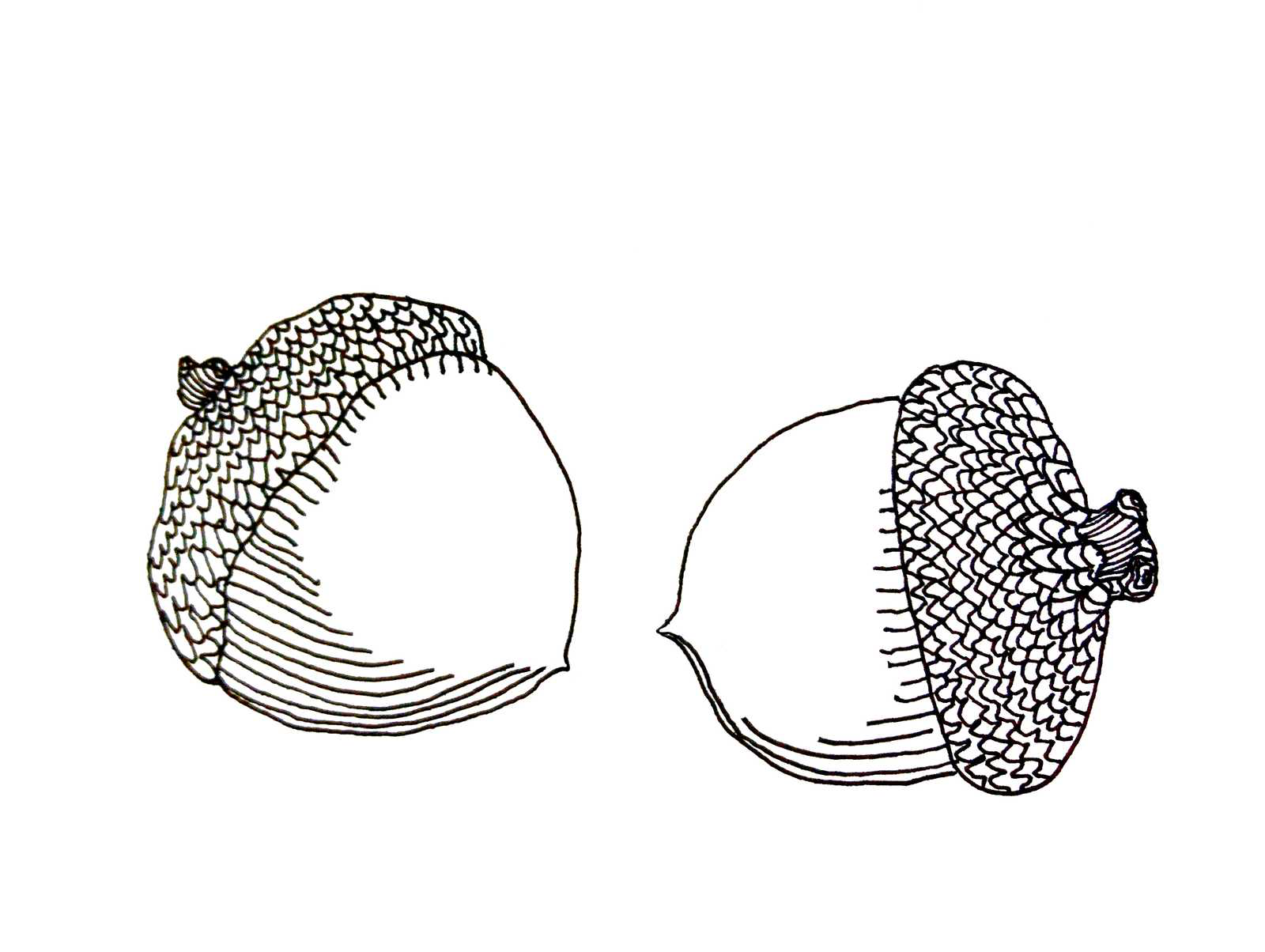 Land of Tomorrow, Dark and Bloody Ground