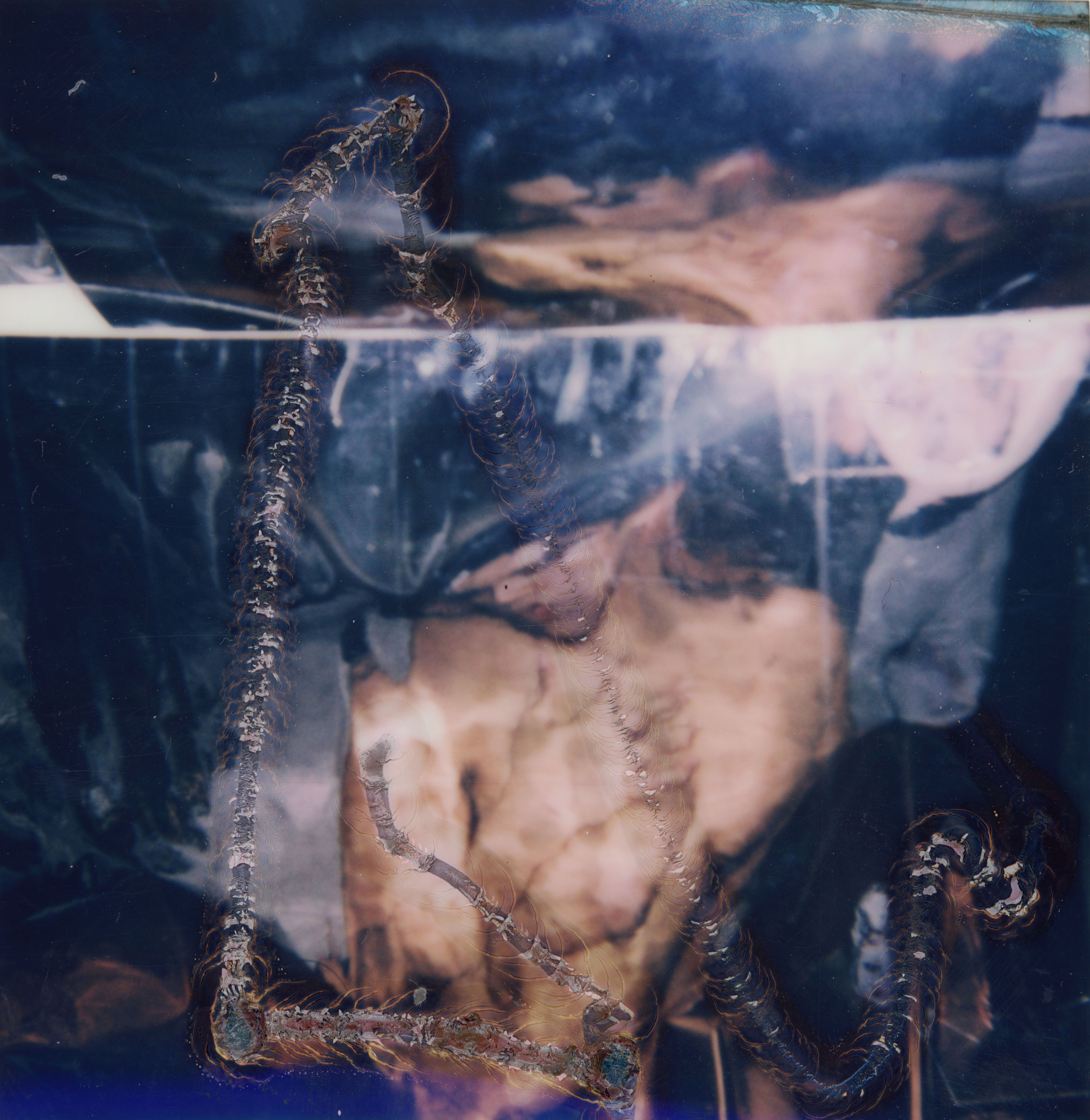 Artwork: Naomi (Doubled)