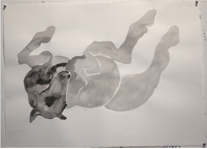 Artwork: Horsie On His Back