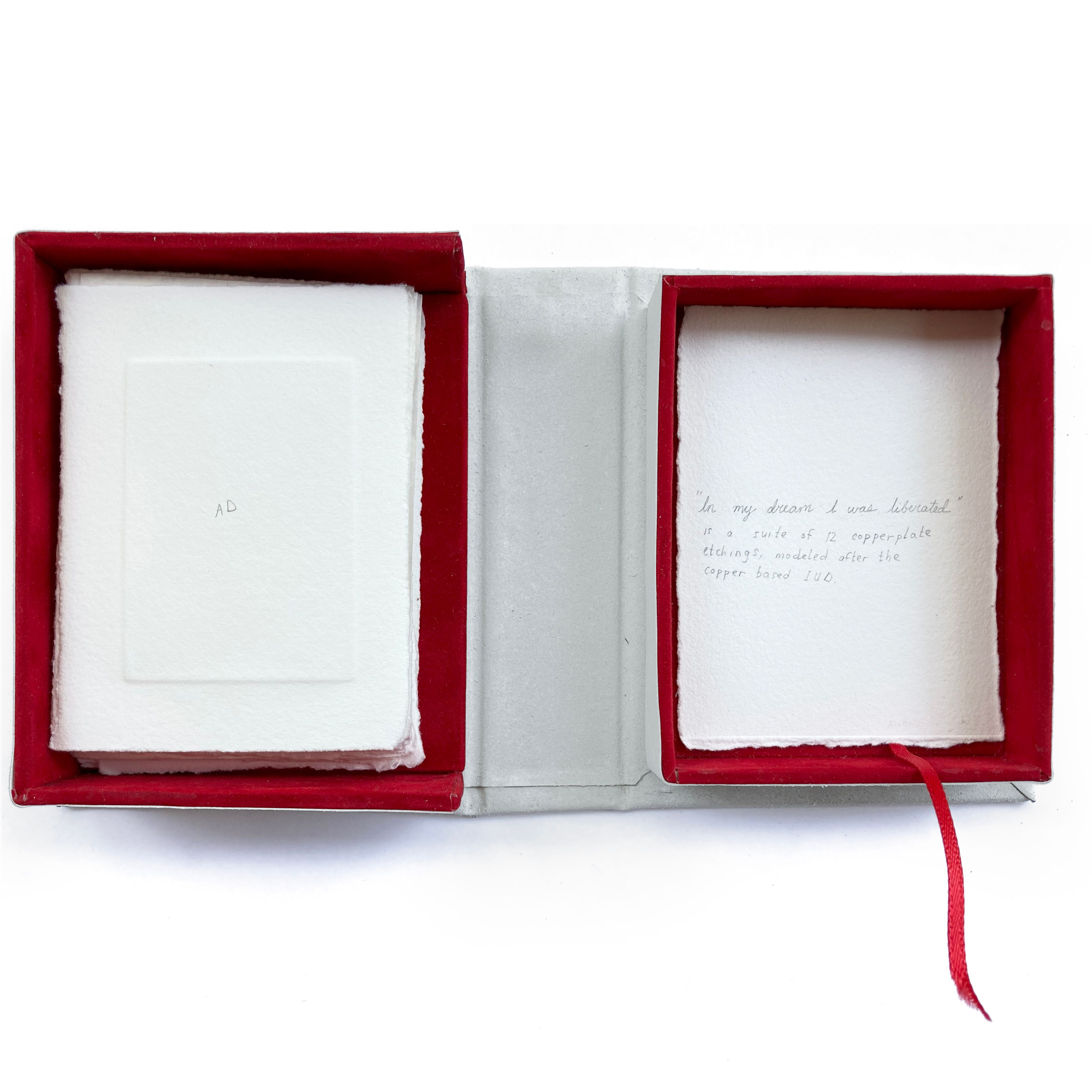 Artwork: In my dream I was liberated