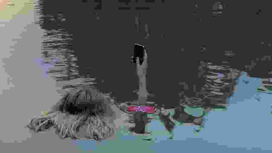 Stills from Santo Antonio 1