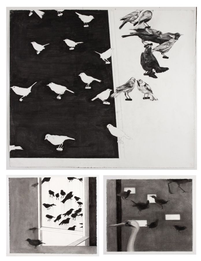 Artwork: Bird Balcony