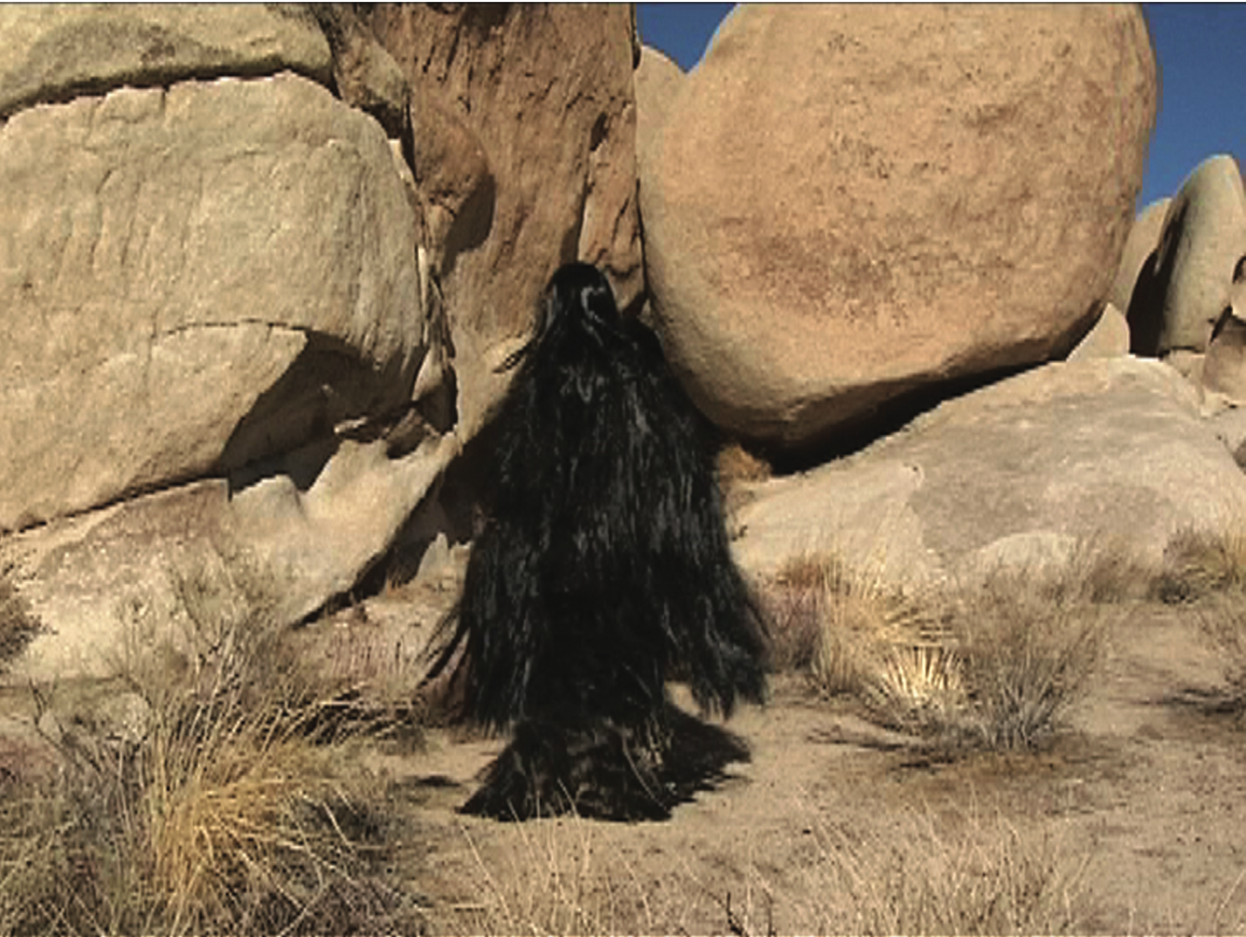 Artwork: A Preemptive Manuever (2)